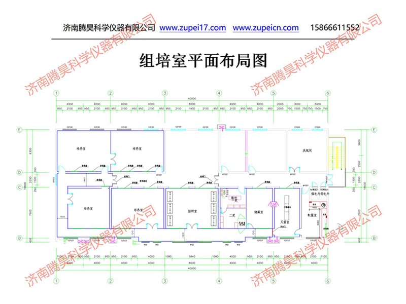 济宁91香蕉视频APP下载官网室设计