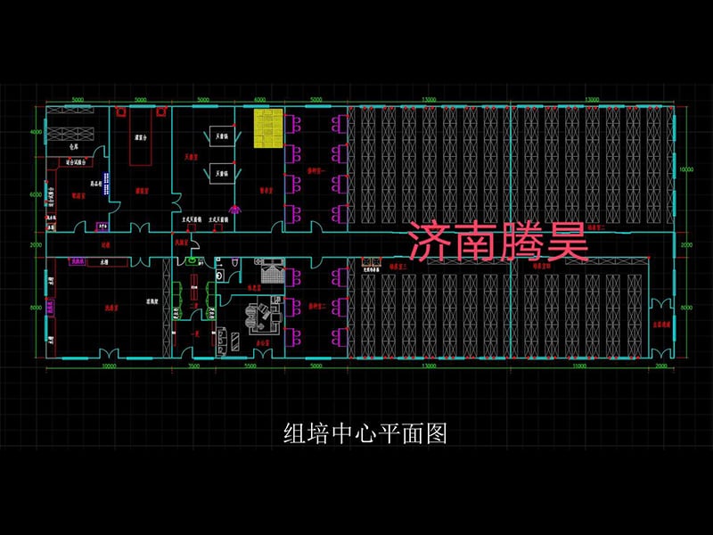 900平米91香蕉视频APP下载官网室平面设计图