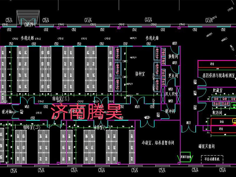 陕西91香蕉视频APP下载官网室平面净化设计图