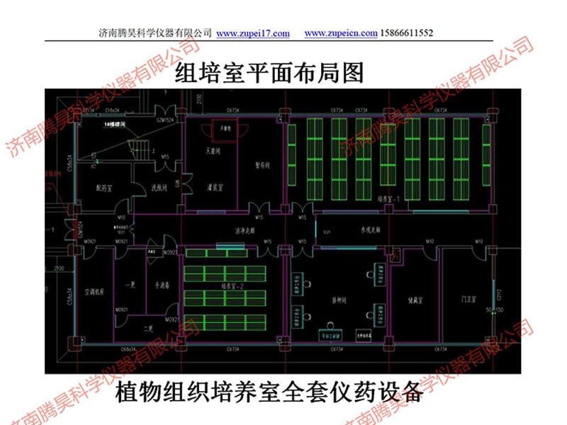 91香蕉视频APP下载官网室