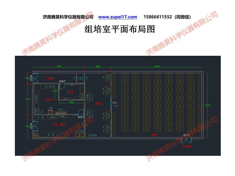 昆明人参果91香蕉视频APP下载官网室建设方案