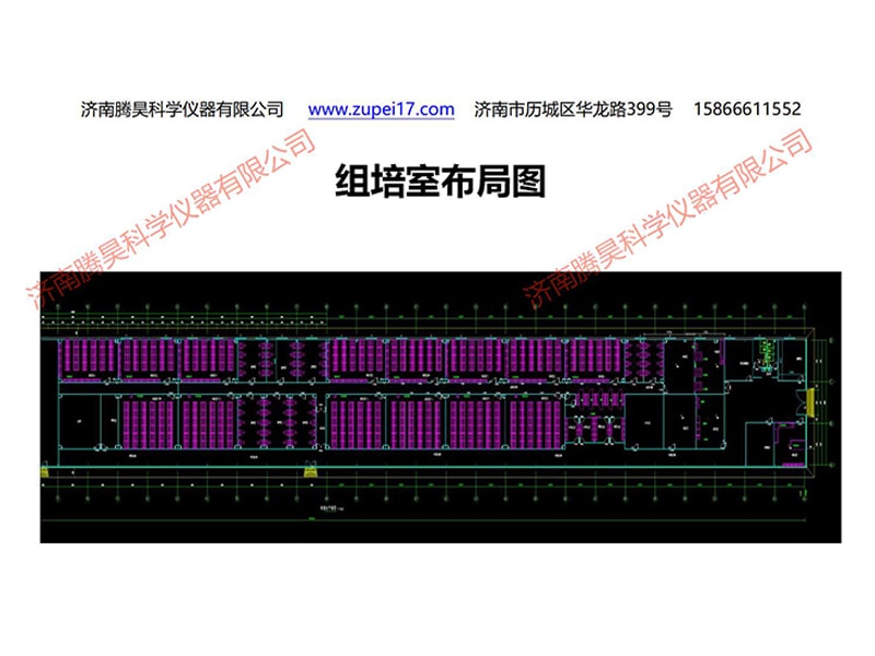 91香蕉视频APP下载官网  91香蕉视频APP下载官网室