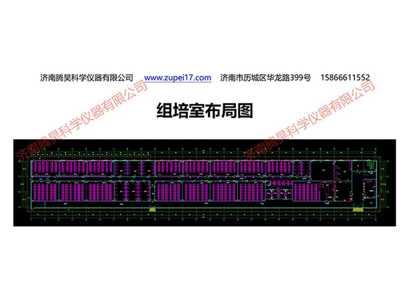 91香蕉视频APP下载官网室