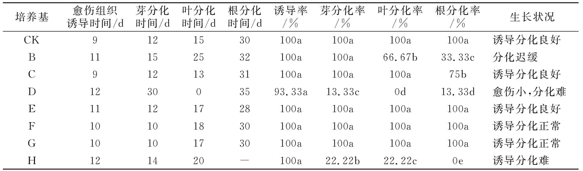 91香蕉视频APP下载官网设计图