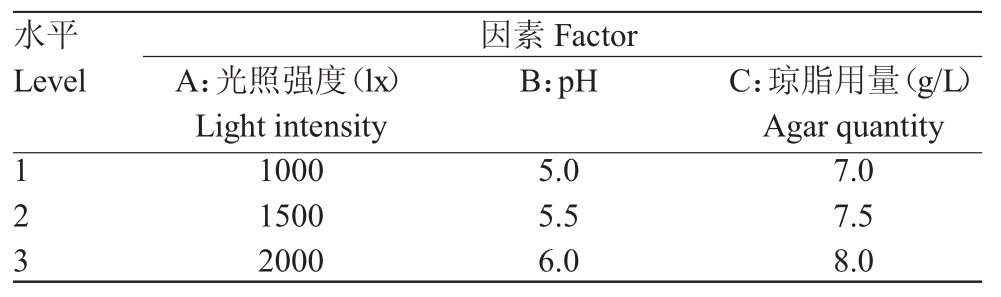 铁皮石斛91香蕉视频APP下载官网苗生根条件优化研究