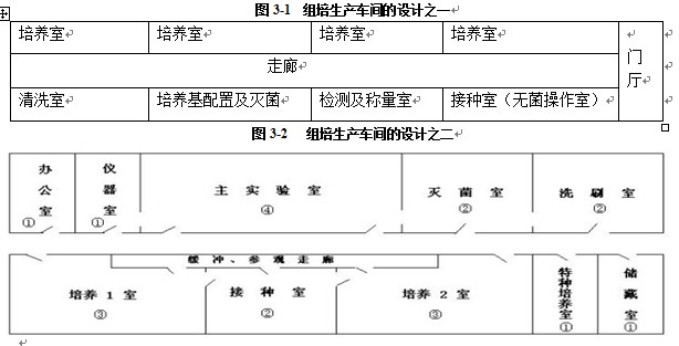 91香蕉视频APP下载官网室设计