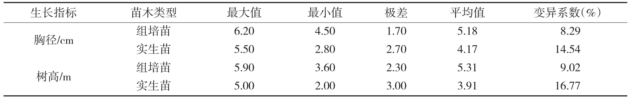 大花序桉91香蕉视频APP下载官网苗15个月龄幼林生长